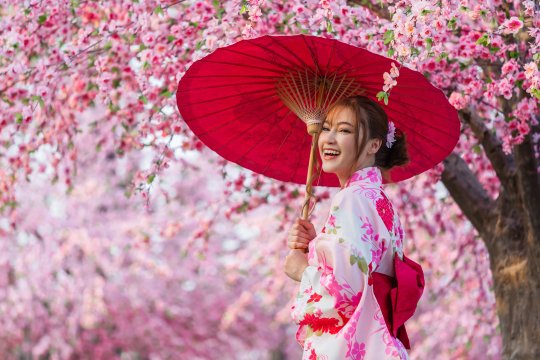 Frau in traditionellem japanischen Gewand und rotem Schirm vor Kirschblüten