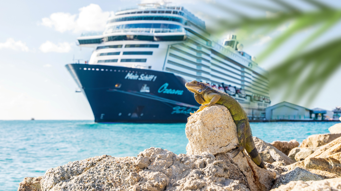 20211228-Aruba-1501 L45