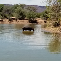 original Namibia8 002