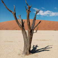 original Namibia 7 002 1