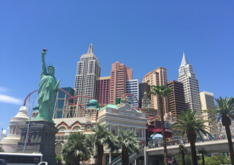 Bild Florida - Fun in the Sun & Viva Las Vegas Reisebericht